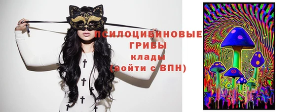 индика Зерноград