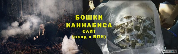 метадон Зеленодольск