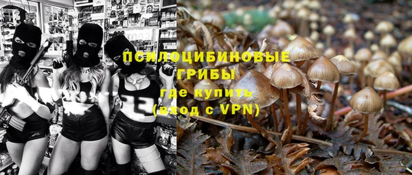 индика Зерноград