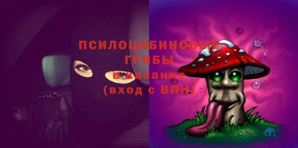 метадон Зеленодольск