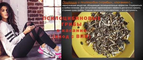 шишки Зеленокумск