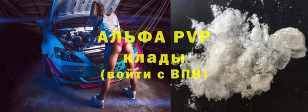 индика Зерноград